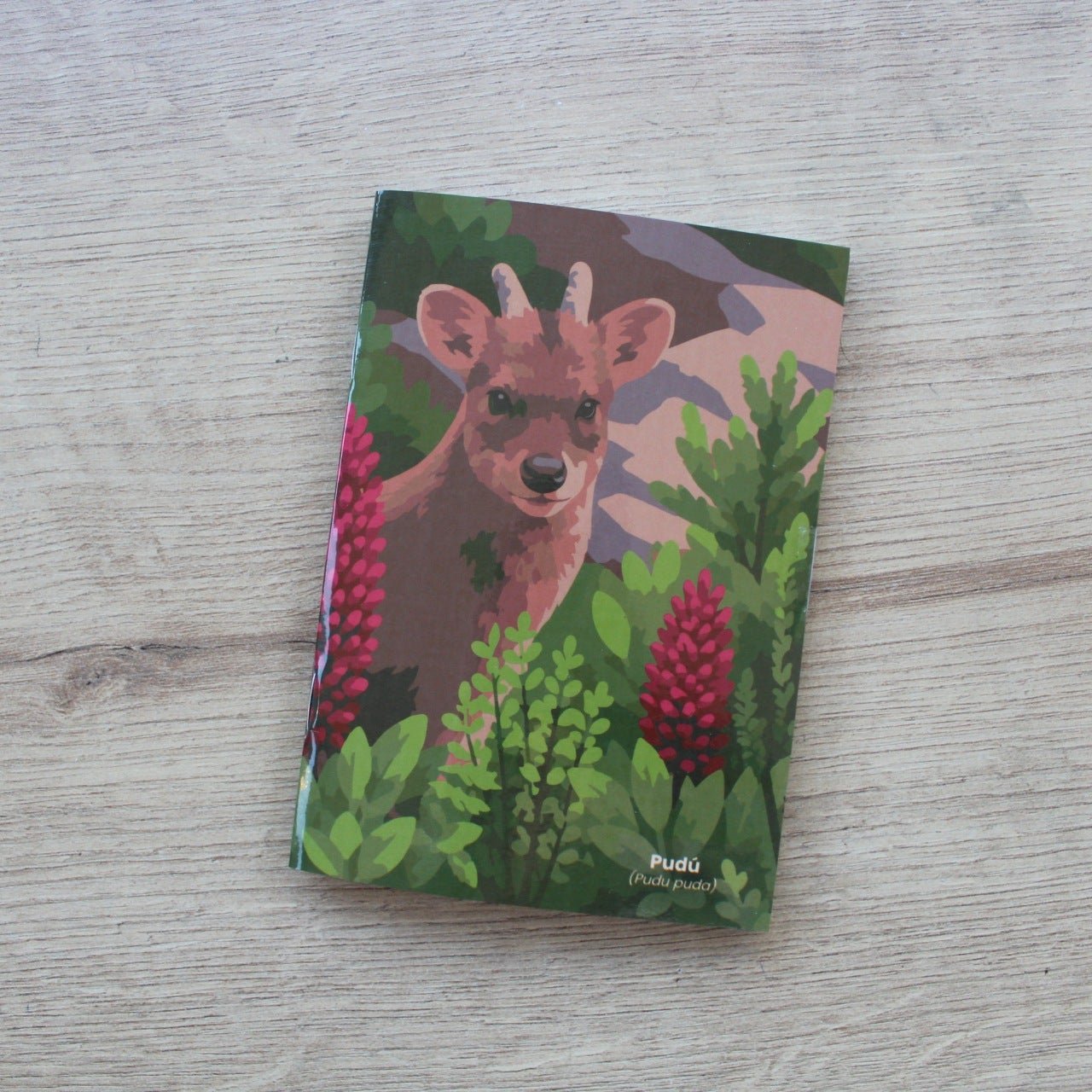 Libreta Pudú - Bitácora
